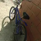 دراجة للبيع