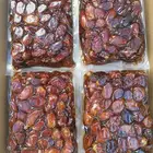 تمور مخفضة رخيصة الثمن