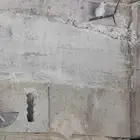 جوز يمام ماسي