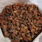 تمر علف للبيع في الأحساء