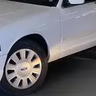 جنوط وطيس بوليسي