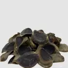 ظفر الطيب الحافور