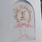 توزيعات استقبال بيبي