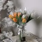 شموع