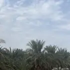 المليليح مفرق بواط