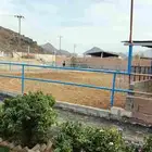 غرف إيواء خيل