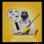 مؤسسة راحتي لمكافحة الحشرات و الآفات