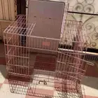 شبك طيور