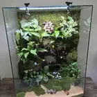 حوض زجاج تيراريوم غابة طبيعية