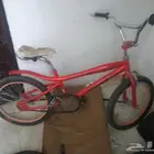 بريده