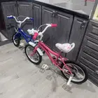 سياكل للبيع