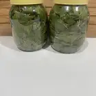 سدر ام فيصل