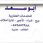 عشيرة