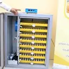 فقاسه عون المربي 500 بيضه