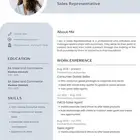 عمل CV سيرة ذاتية احترافيه حسب نظام ATS وتصميم وتعديل أى ملف