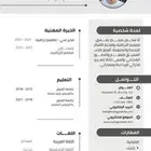 تصميم CV عربي - إنجليزي ( أسعار رمزيه )