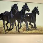 لوحه فخمه