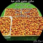 تمر سكري عضوي فاخر حبة كبير مفتل وجالكسي