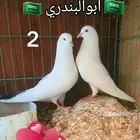 حمام باكستاني
