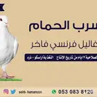 زغاليل حمام فرنسي
