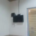 القنفذه القوز