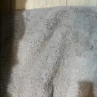 سجادات - مفروشات