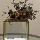 ستاند عرض زجاجي للهدايا