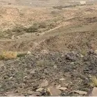 ارض للبيع بصك الالكتروني بمخطط 1825 بالمخالفه