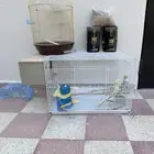 للبيع جواز كروان