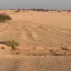 للبيع أرض زراعية شمال ليلى 13 كيلو