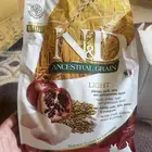 أكل كلاب شركة Farmina