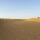 ذره صفراء فاخره