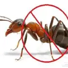 خدمات نظافه عامة