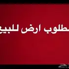 مطلوب ارض في رابغ مخطط النعيم