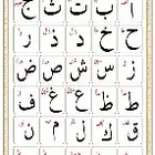 مدرس تأسيس قراءة وكتابة ومحفظ قرآن بالتجويد ومتابعة بالمدينة