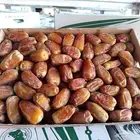 السلام عليكم ورحمه الله وبركاته صقعي. مجدول. عجوه. عنبره