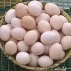بيض بلدي طازج طبيعي100