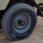 جنوط شنبر معدله و شواهين