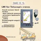 LMI for telescopic crane