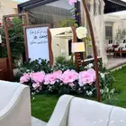 كوش مداخل استقبال جده