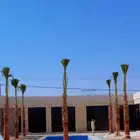 تركيب.الشبوك وزراعه.النخيل
