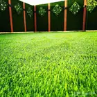 تنسيق حدائق جدة