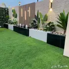 Landscaping Planting all types of trees palms grass arrangem
