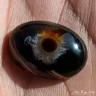 حجر سليماني هندي طبيعي أسود فلور عين برموش