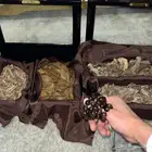 عود طبيعي   عود محسن