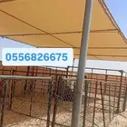 مضلات حلال اجله ابل