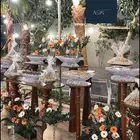 تنسيق حفلات سكاكا