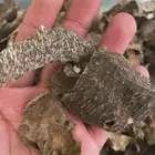 بخور طبيعي فاخر ومشروط