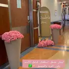 ايجار ستاند مواليد