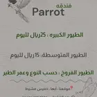 فندقه طيور